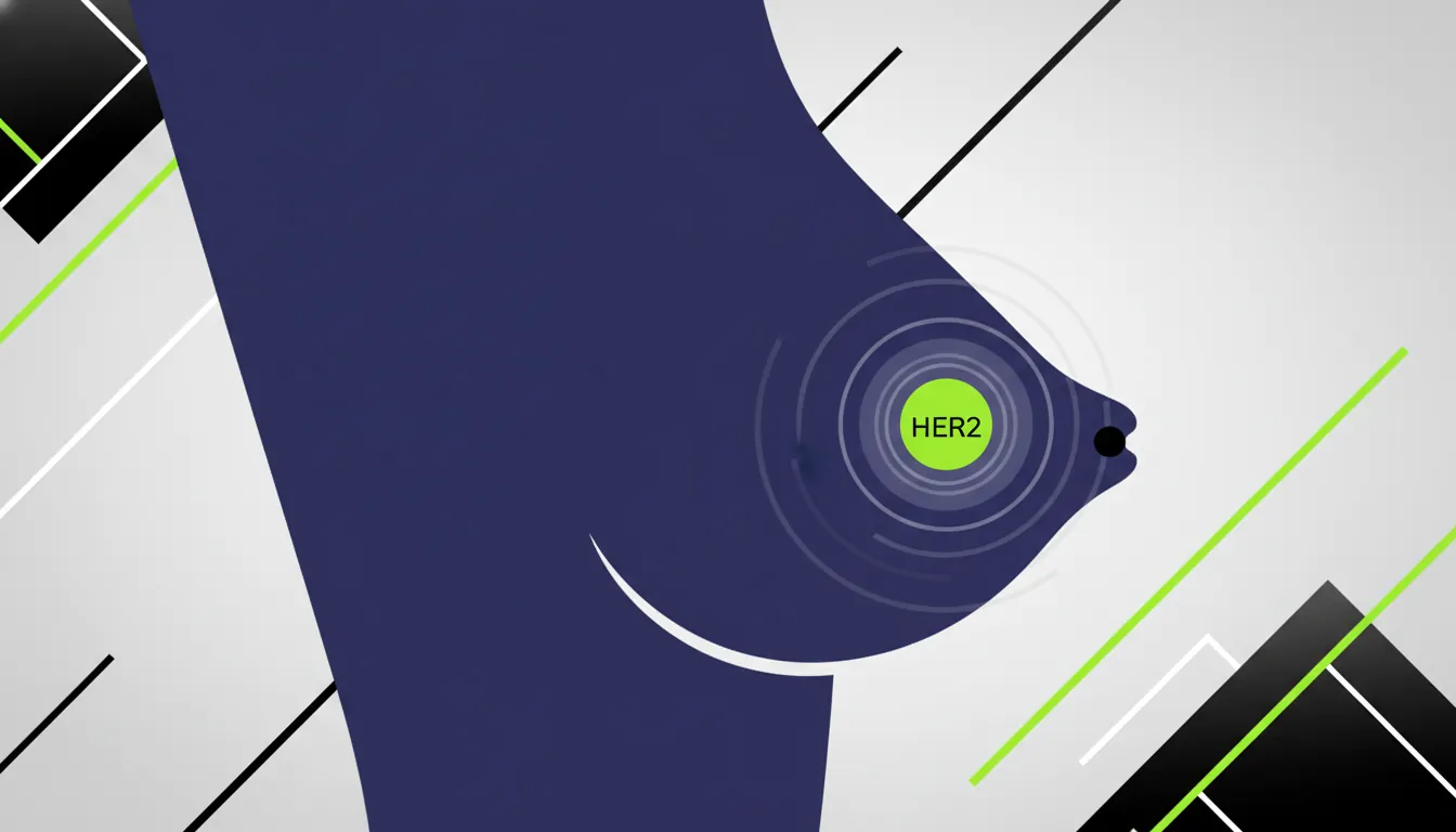 A flat design illustration of a breast silhouette with a highlighted HER2 biomarker.