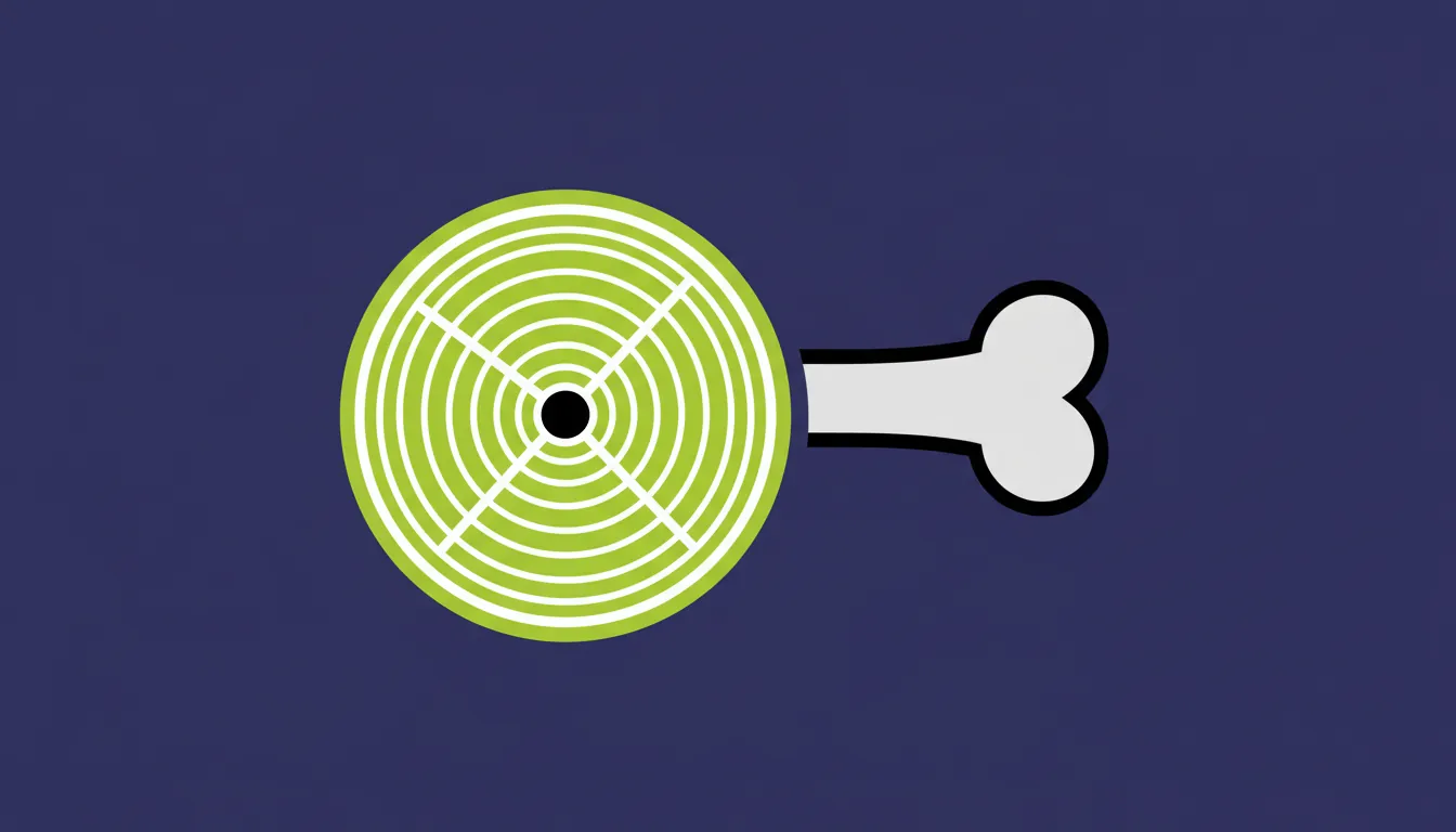 A flat illustration of a retina and a bone, symbolizing the connection between eye health and osteoporosis risk.