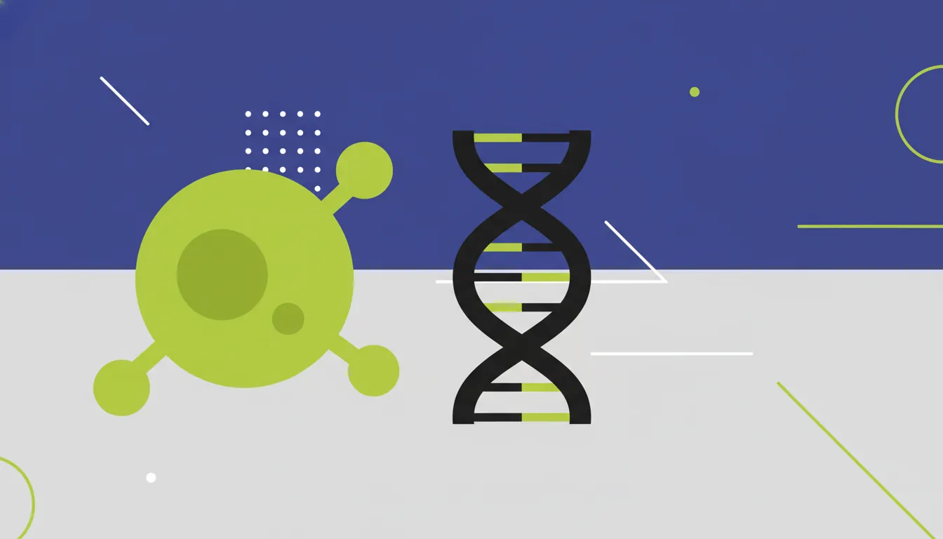 Flat illustration of a T cell and DNA strand
