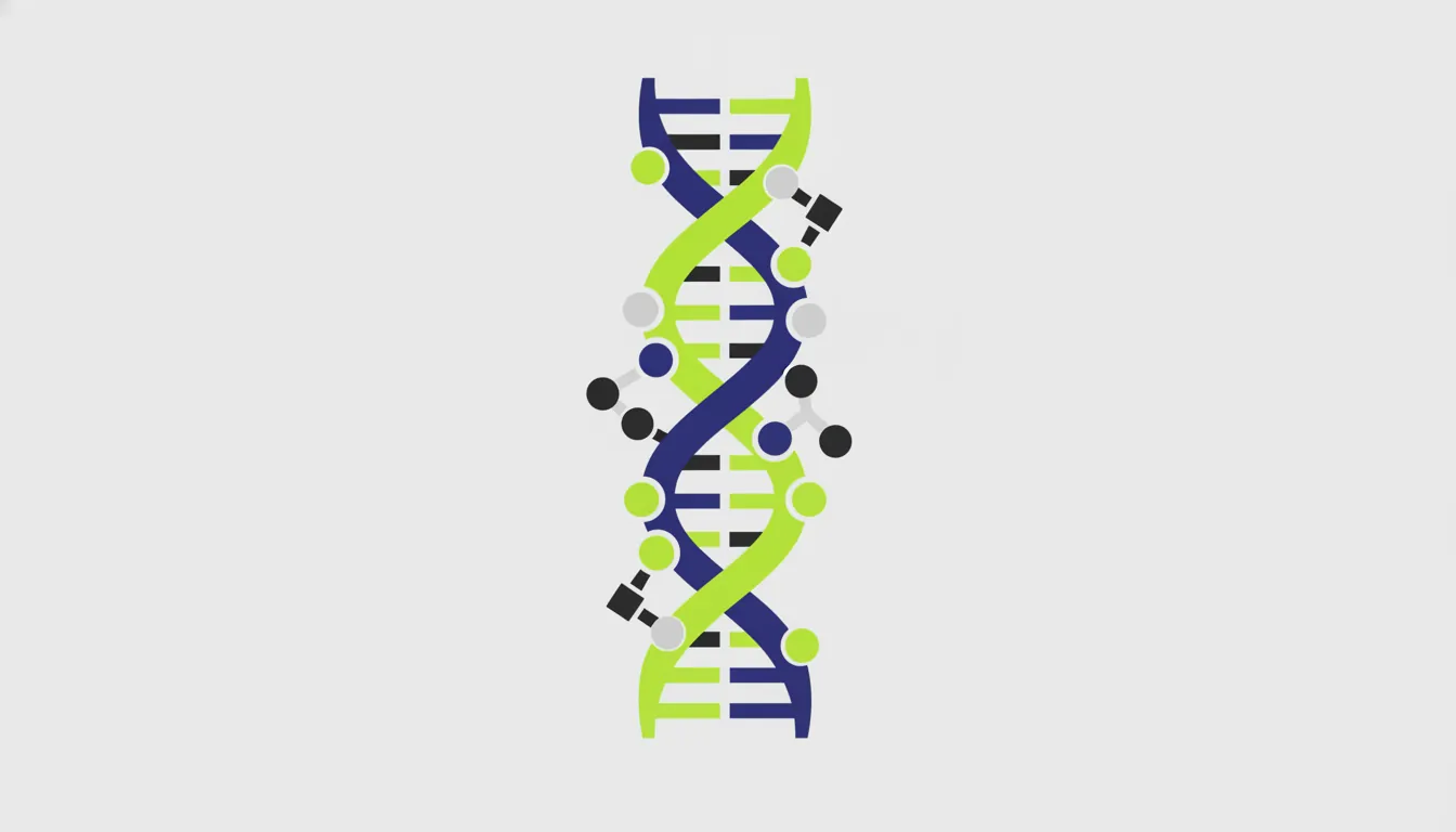 Flat illustration of RNA and DNA structures